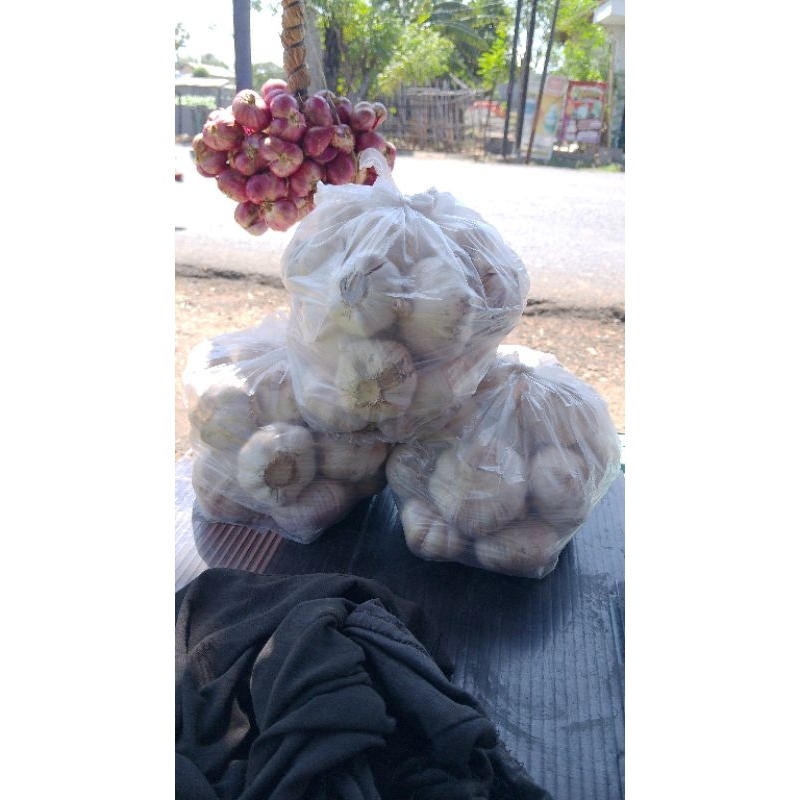 

BAWANG PUTIH 1KG-500 gram