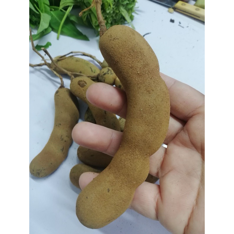 

Asam jawa mantab enak oke