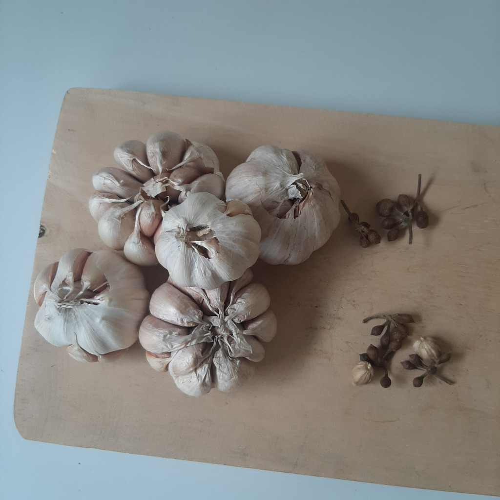 

SK - Bawang Honan / Sinco / Banci Bersih 1 KG (etalase baru)