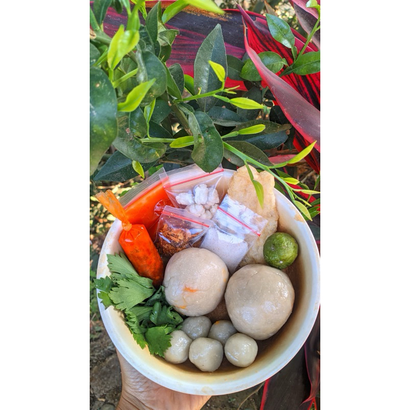 

BAKSO ACI JUMBO ISI AYAM DAN TETELAN