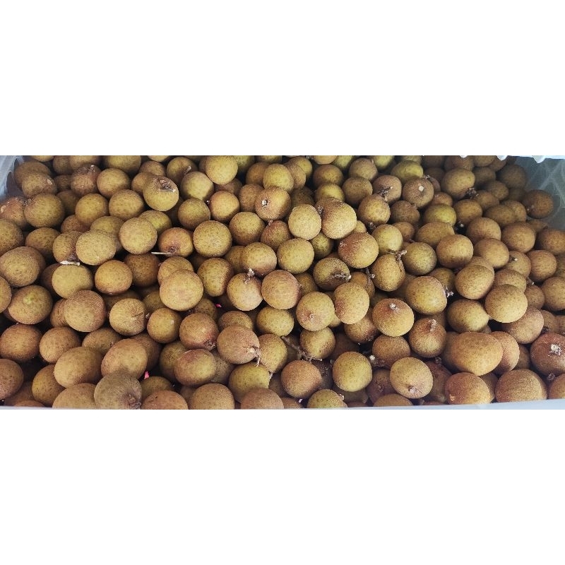 

Klengkeng atau lengkeng 1kg