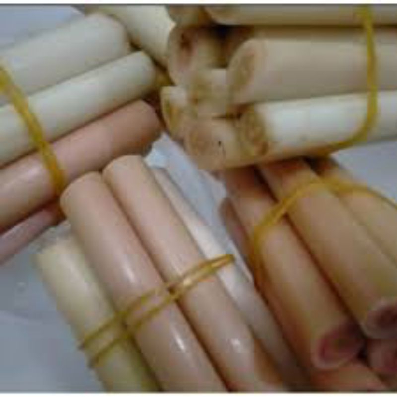 

BATANG KECOMBRANG 1 KG BISA REQUEST TUA ATAU MUDA