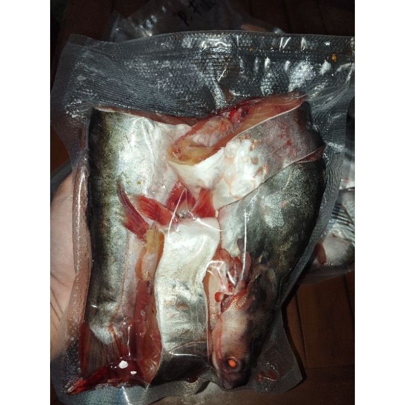 

IKAN PATIN POTONG 4 BERAT 700GR