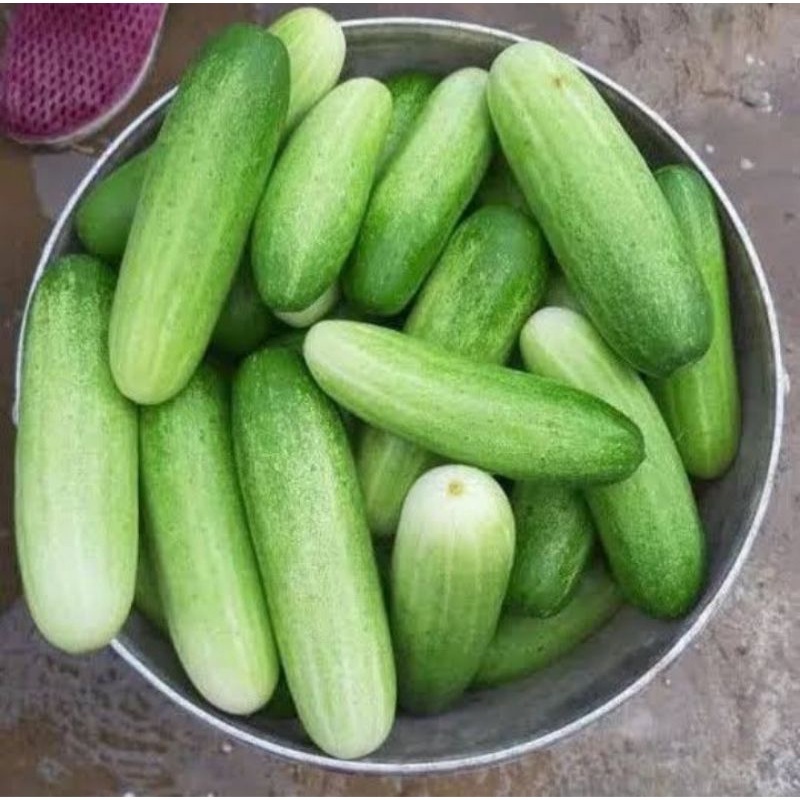 

[500 GRAM] Timun Lalapan Segar