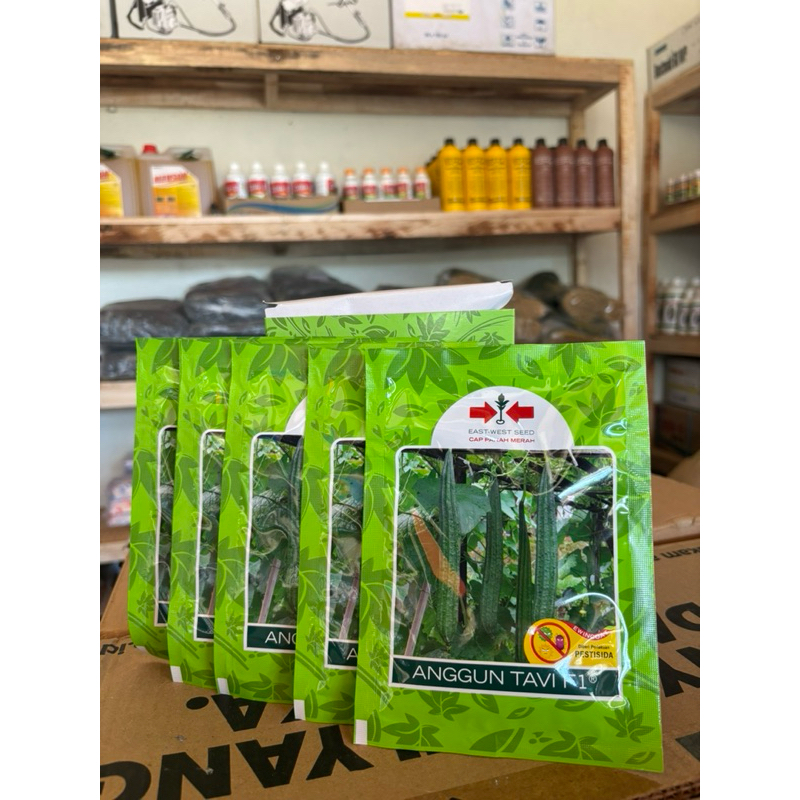 BENIH OYONG/GAMBAS ANGGUN TAVI F1 (75 butir) - Bibit benih tanaman oyong unggul.