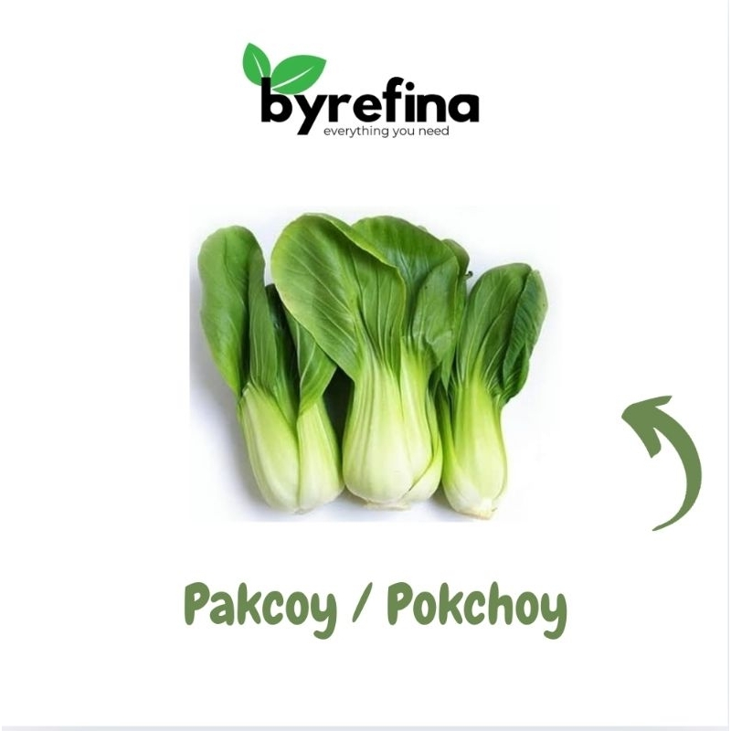 

Pakcoy Pokchoy Pokcoy Sawi daging 250gr - 1kg Surabaya / Byrefina