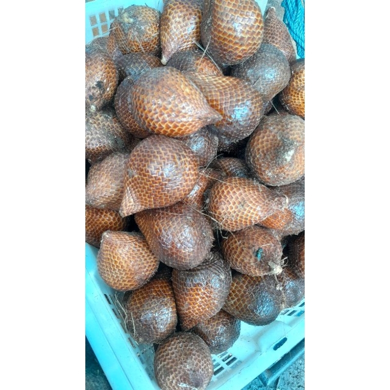 

SALAK MADU MANIS LEMBUT 1KG