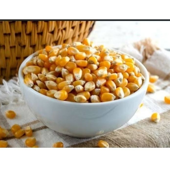 

Biji jagung lokal 1 kg pilihan-az