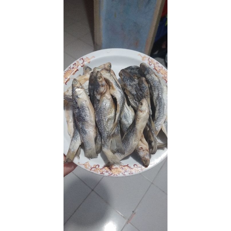 

IKAN ASIN BELANAK FRESH