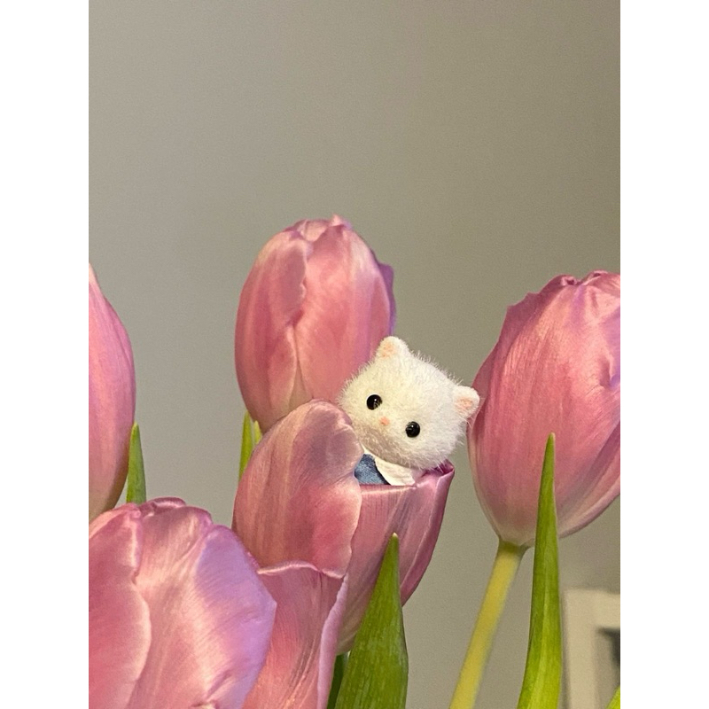 photocard nct127 1st anniversary