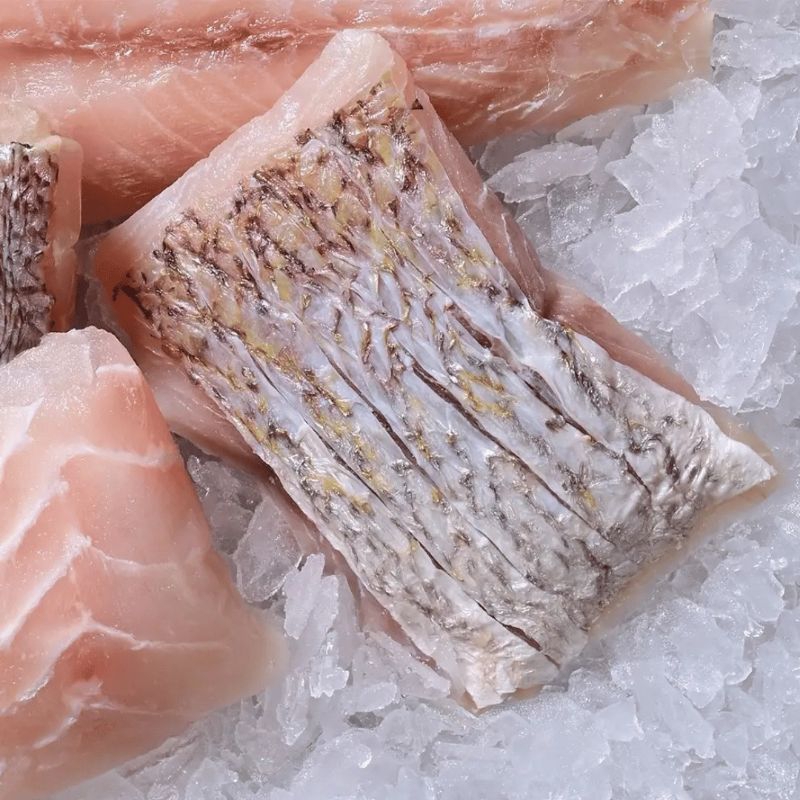 

RB Ikan Kakap Fillet Segar 500gr / Ikan Kakap Fillet Segar Frozen