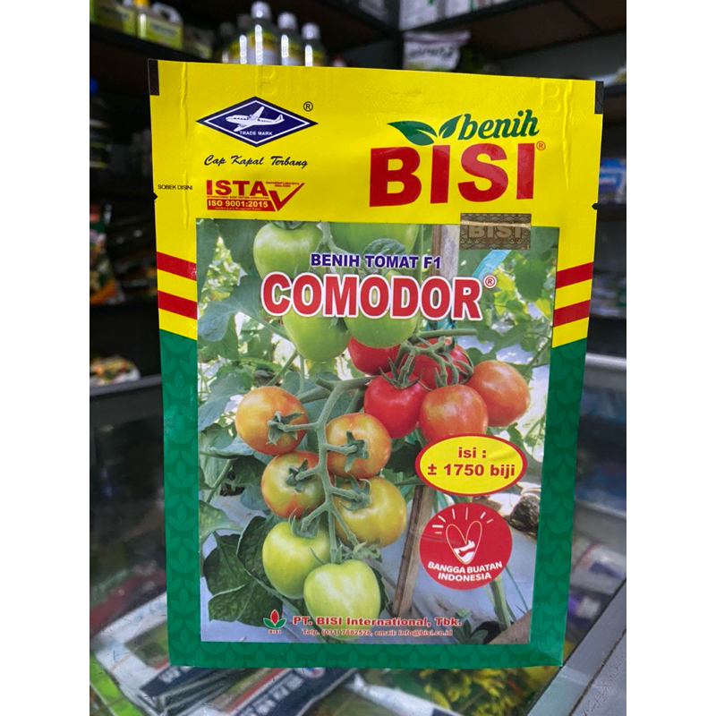 Benih Tomat F1 " COMODOR "
