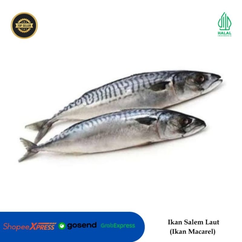 

Ikan Salem Laut/ Ikan Macarel Pasifik/ 1 kg