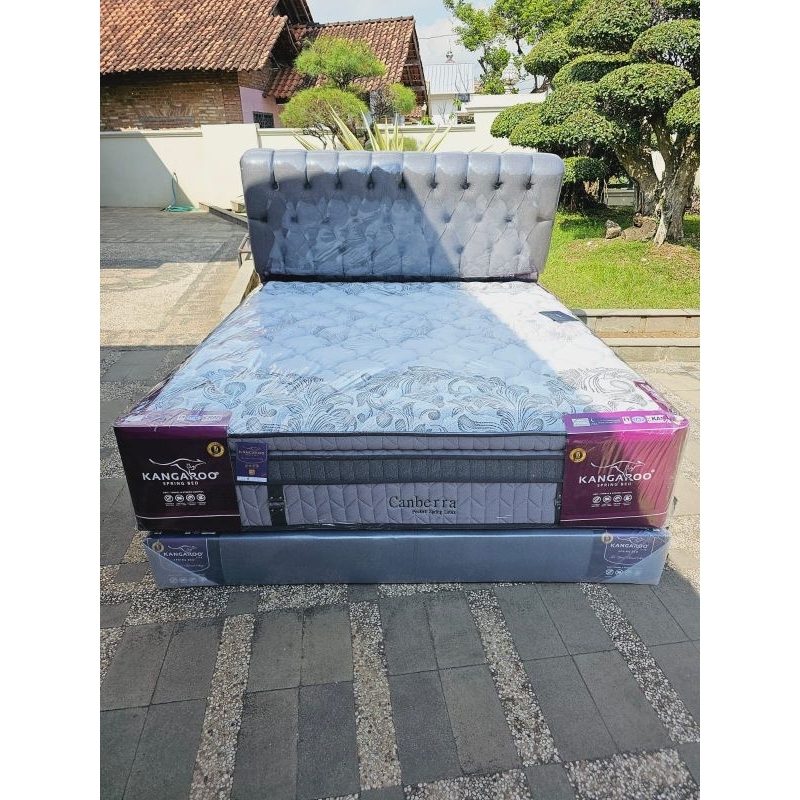 Matras Springbed Kasur Canberra Pocket Latex Kangaroo