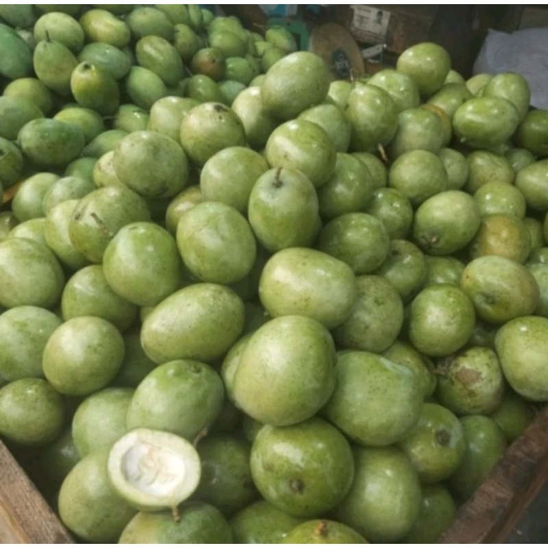 

MANGGA TELOR fresh