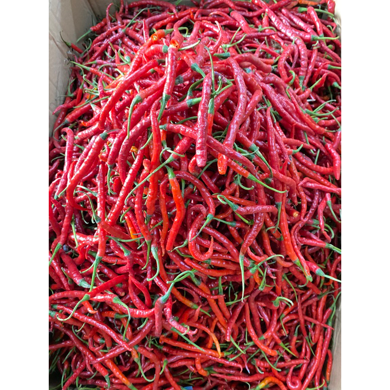 

Keriting Merah