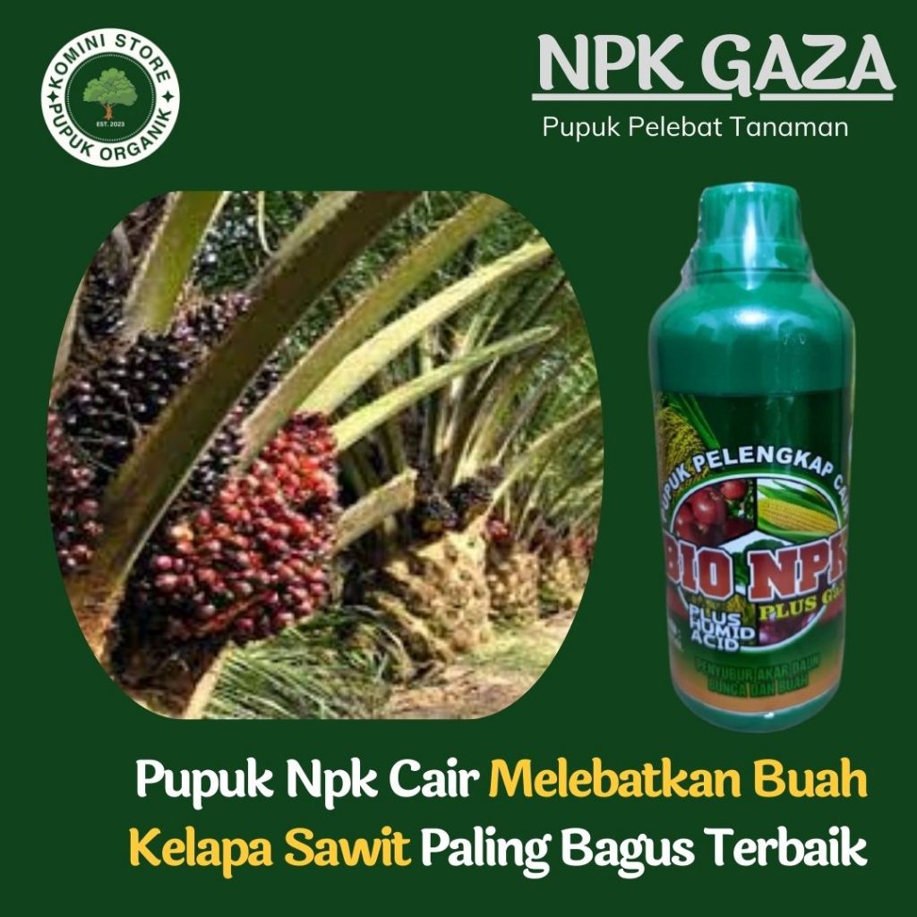 TERLARIS Pupuk Kelapa sawit Berbuah Besar Dan Lebat - NPK GAZA - Pupuk pelebat penyubur buah sawit