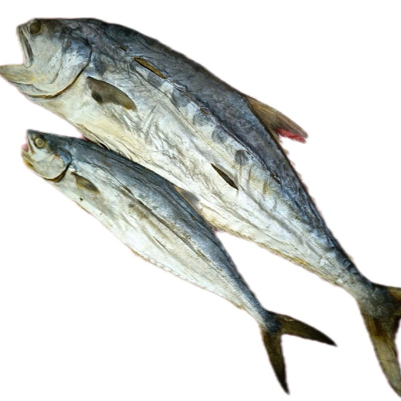 

Ikan Asin Telang Papan Khas Tabanio Grade A