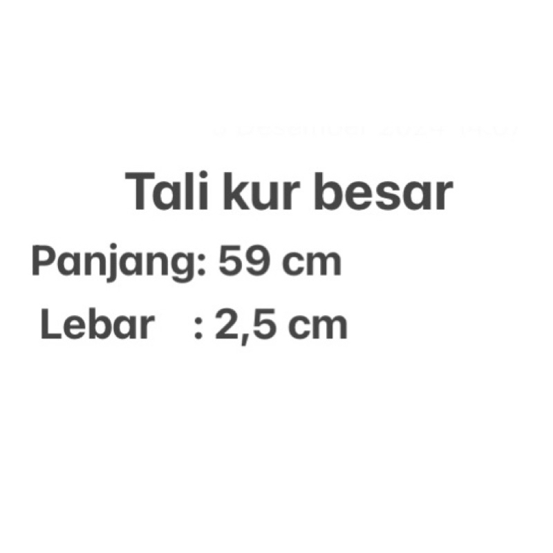 

Tali Kur Pramuka Besar Isi 10