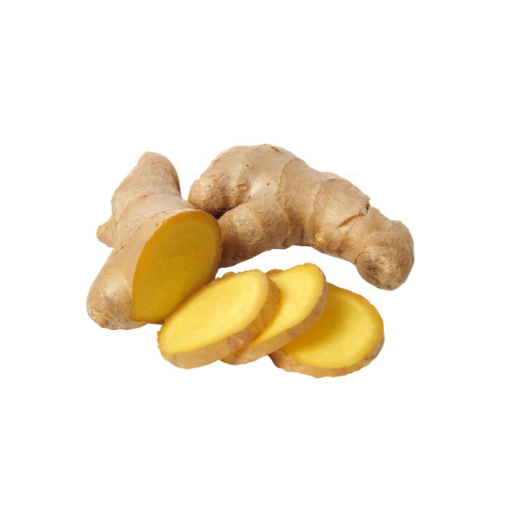 

Jahe Segar | Fresh Ginger