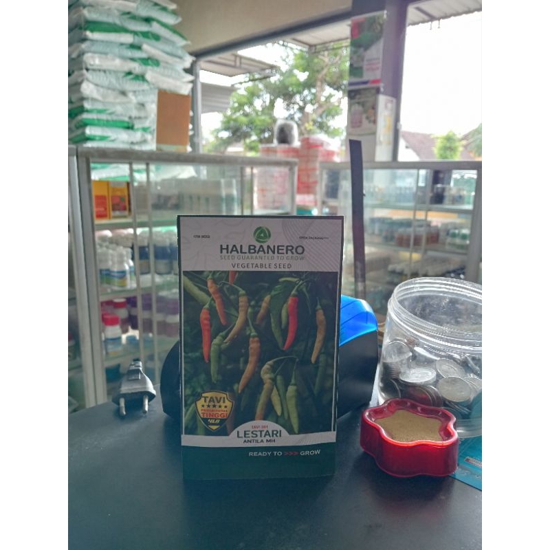 halbanero lestari