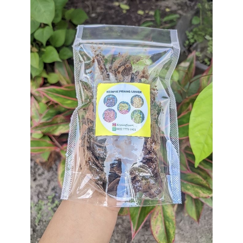 

Keripik Pisang Lumer kemasan pouch 110gr
