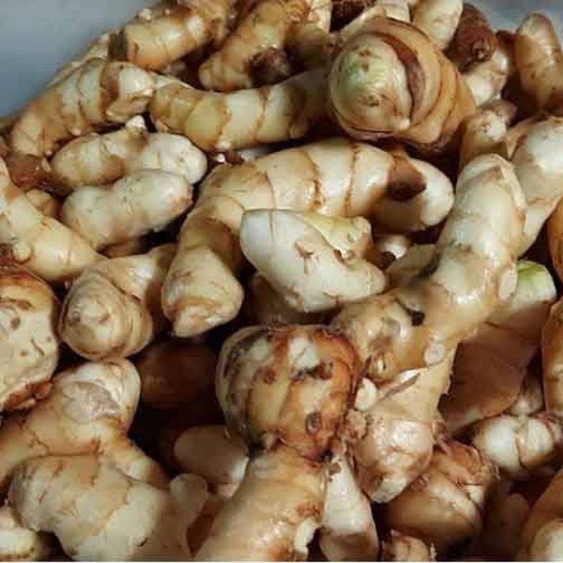 

KONENG BODAS / KUNYIT PUTIH / TEMU PUTIH OBAT TEMU HERBAL 1KG SUDAH BERSIH