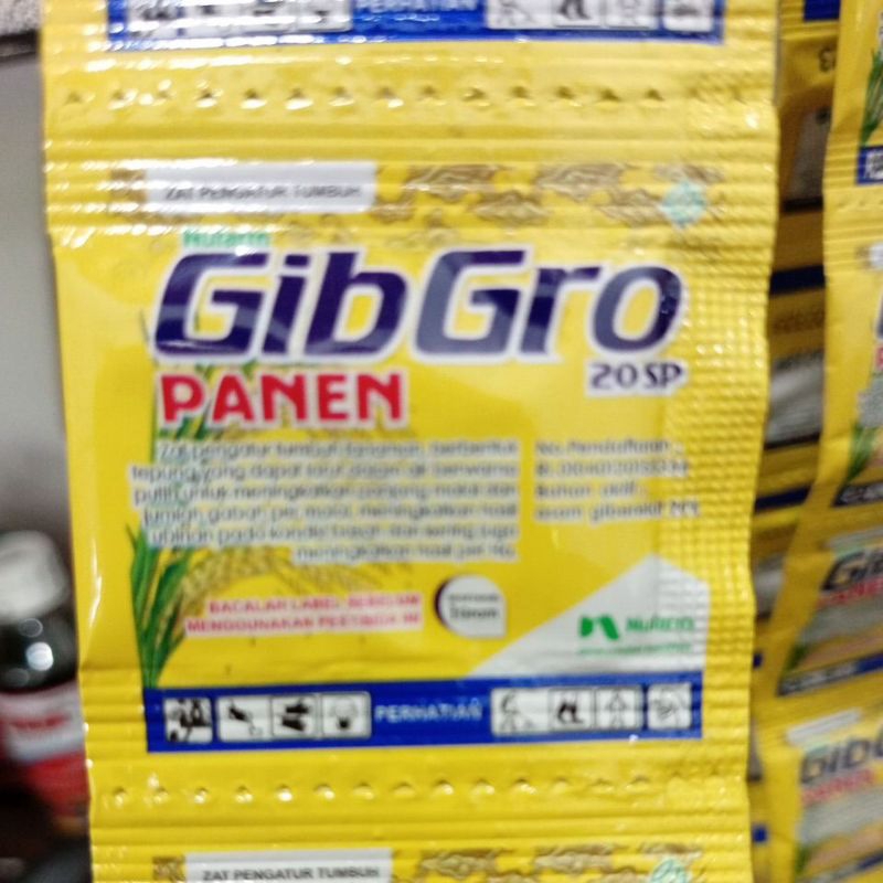 Gibgro panen 20sp