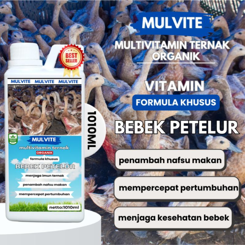 MULVITE Vitamin Ternak Bebek Petelur Agar Telur Bertambah Banyak / Obat Bebek Petelur / Obat Bebek C
