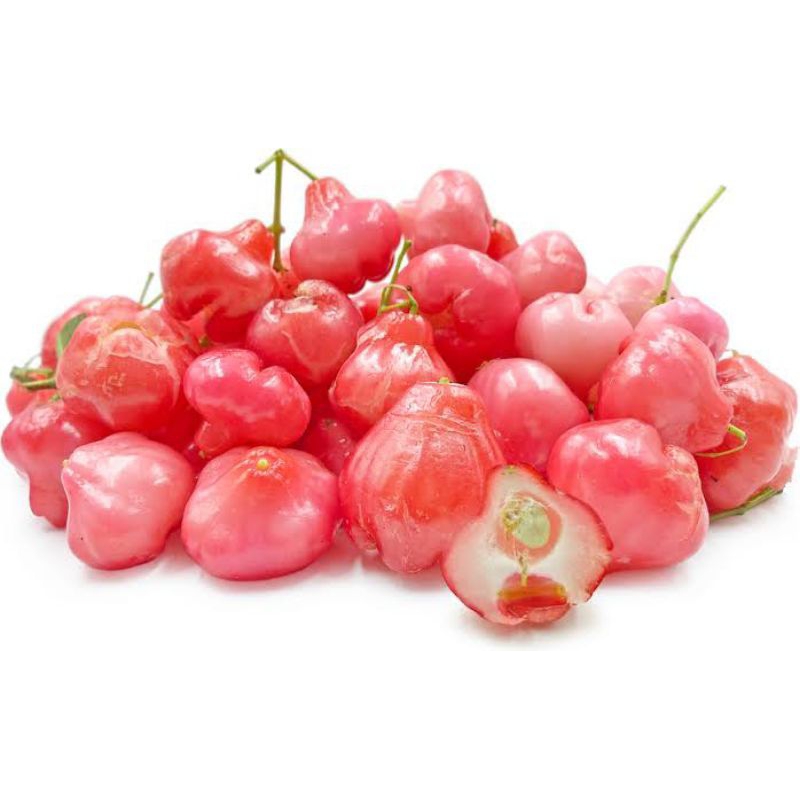 

jambu air merah