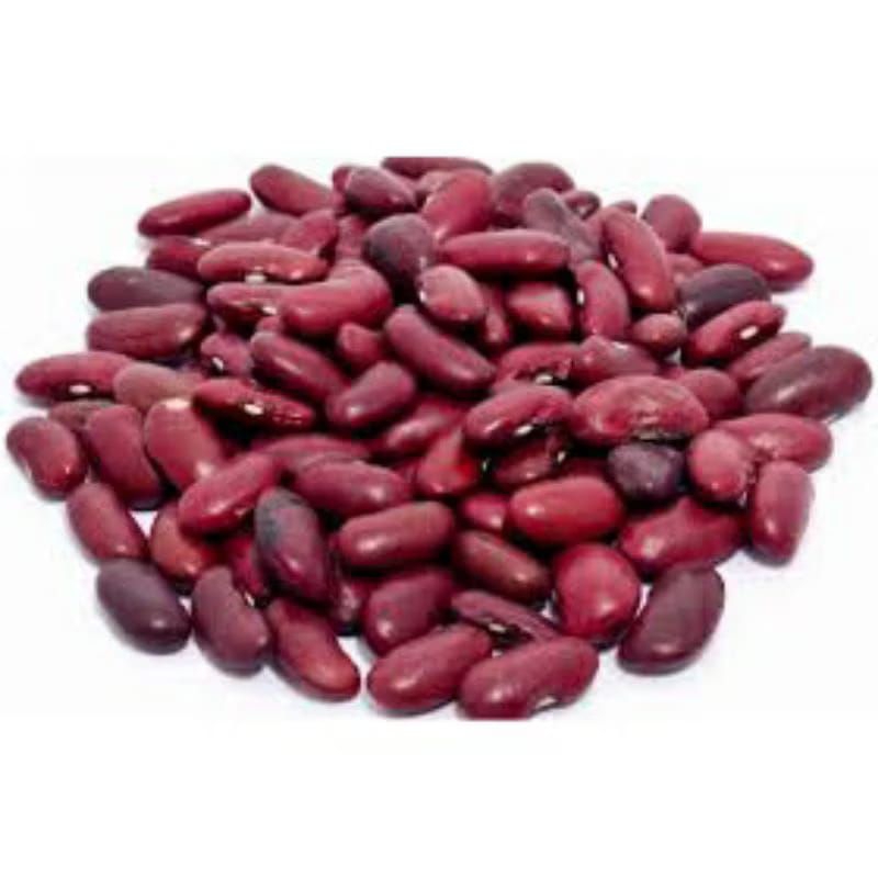 kacang merah segar