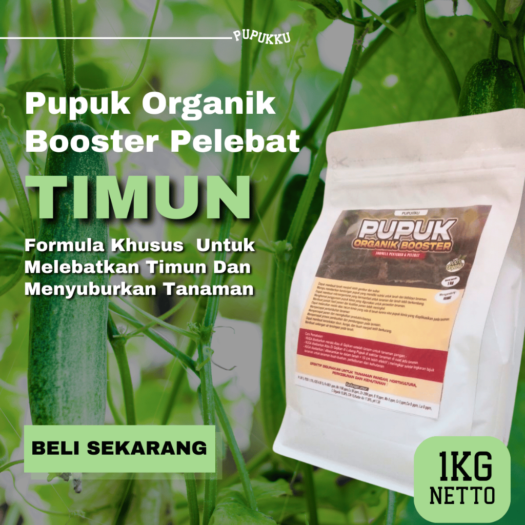 Pupuk Timun Organik Bunga Lebat Tidak Rontok Panen Melimpah untuk Timun Suri & Lalap Booster  timun