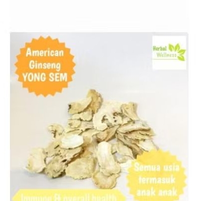 

American ginseng yongsem