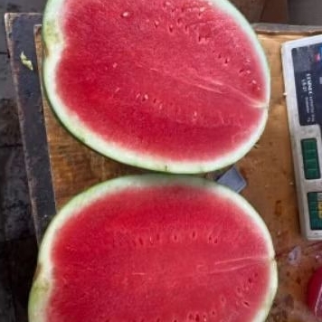 

Semangka 1/2 Buah