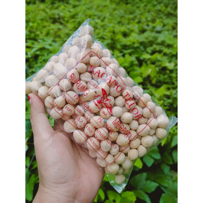 

Kacang Telor
