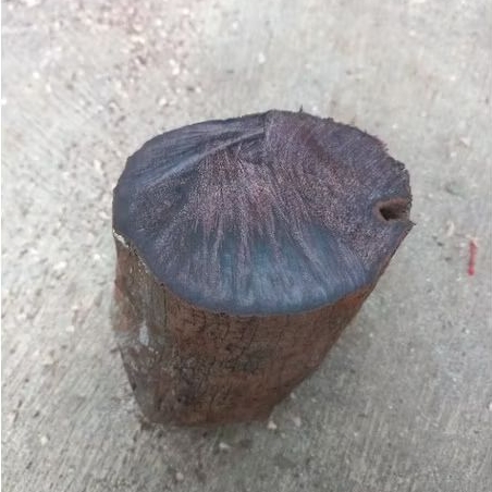 bahan kayu galih asem kemis asli super