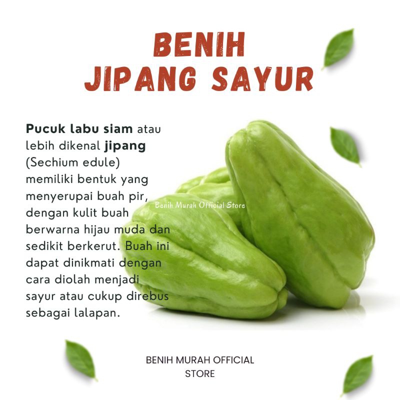 

JIPANG SAYUR