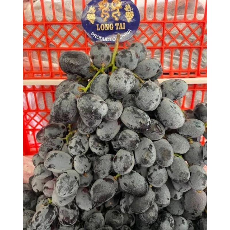 

Anggur Hitam Non Biji / Seedless SEGAR dan Berkualitas 500 - 1000 gram