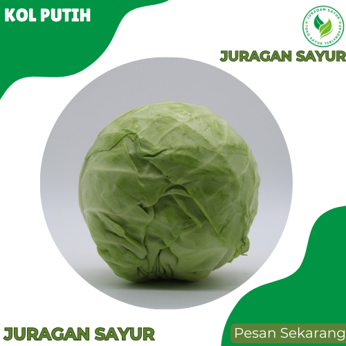 

Sayur Kol Putih - Kol Putih - Kol Kubis - PREMIUM dan Fresh - Juragan Sayur