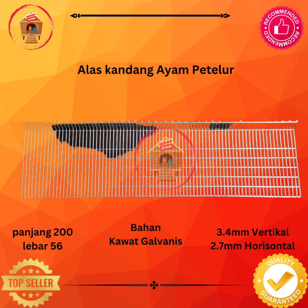 Alas kandang ayam petelur / layer galvanis