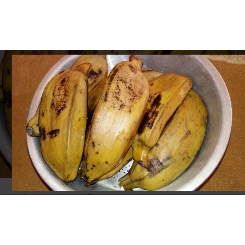 

Pisang kepok rebus