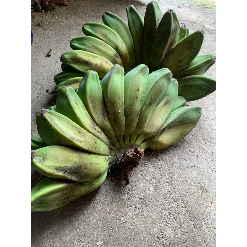 

Pisang Kepok 1 Kg