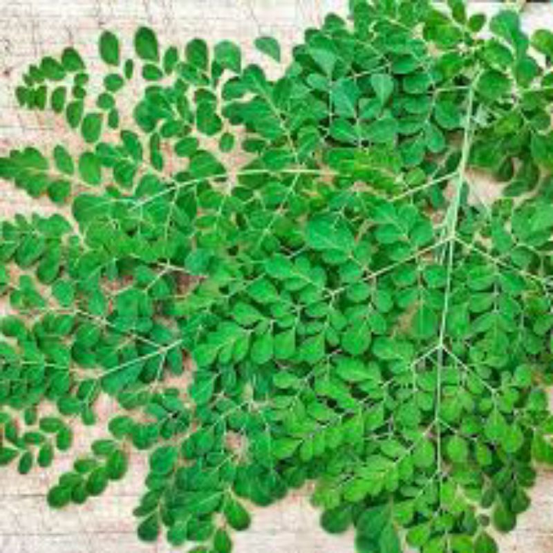 

Daun Kelor