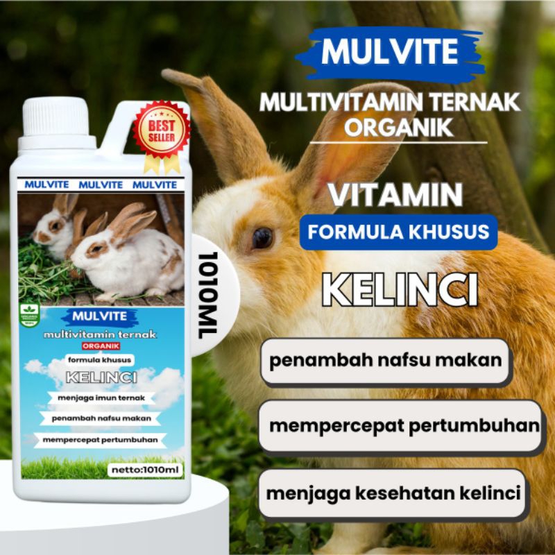 MULVITE Vitamin Probiotik Vitamin Suplemen Kelinci Hias Anggora Fuzzy Lop Holland Netherland Dwarf K