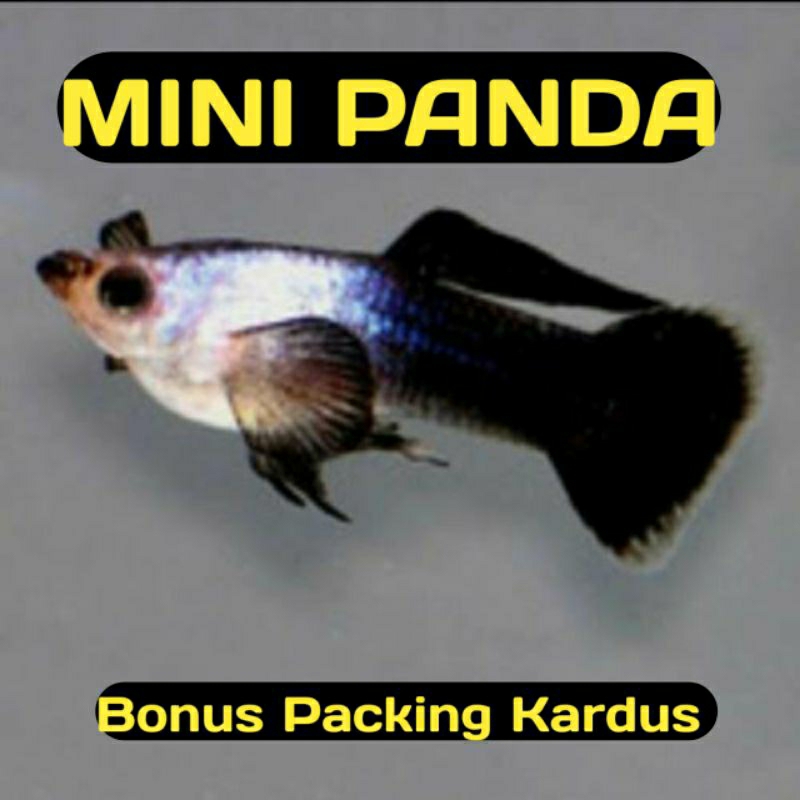 Hiasan Akuarium Guppy MINI PANDA