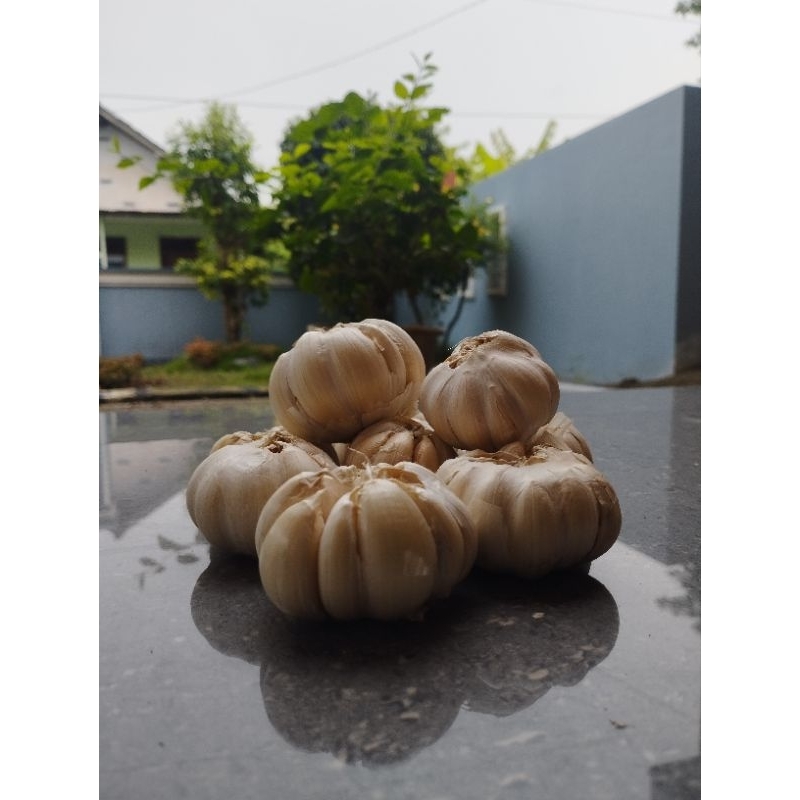 

Bawang Putih