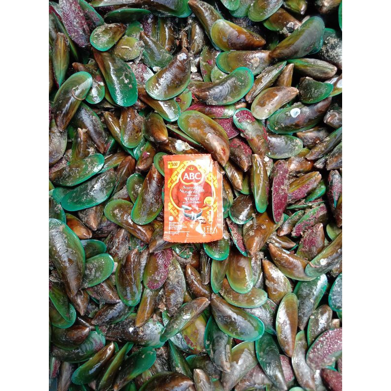 

Kerang Ijo