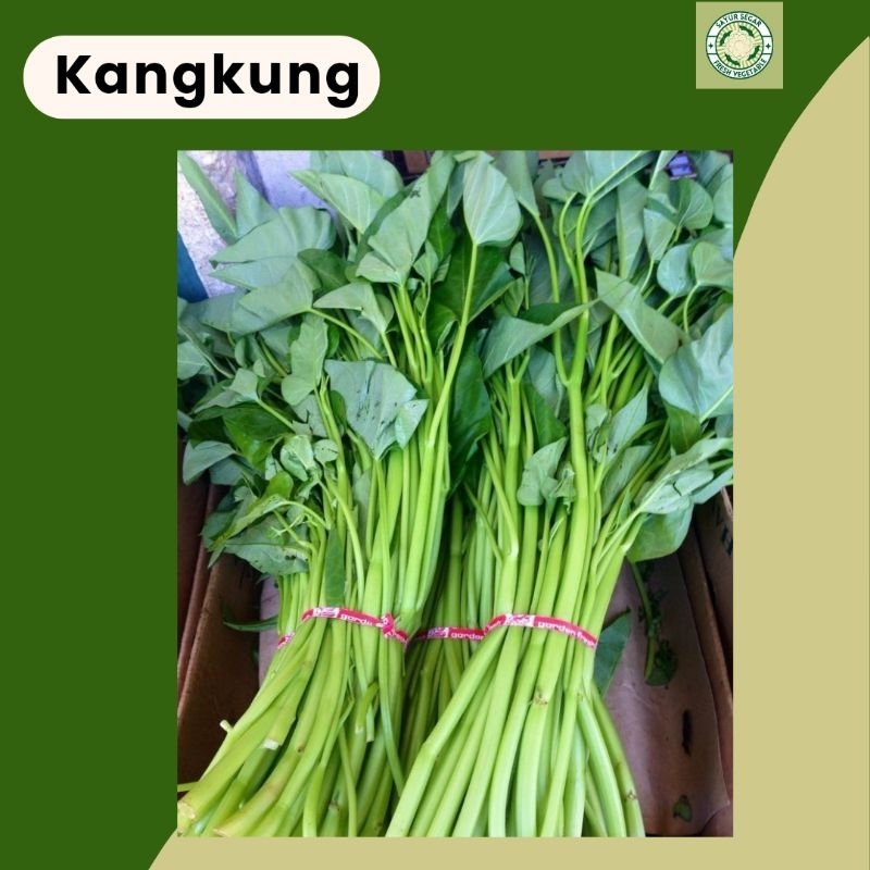 

Kangkung Fresh Berkualitas/1 Ikat