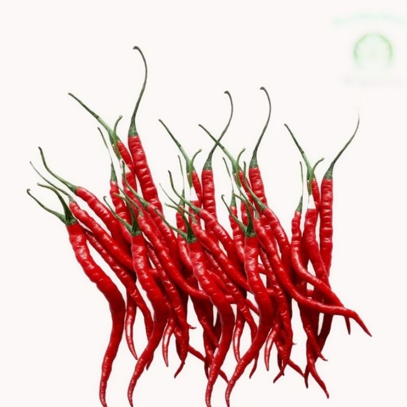 

Cabe / Cabai Merah Keriting 500 gr