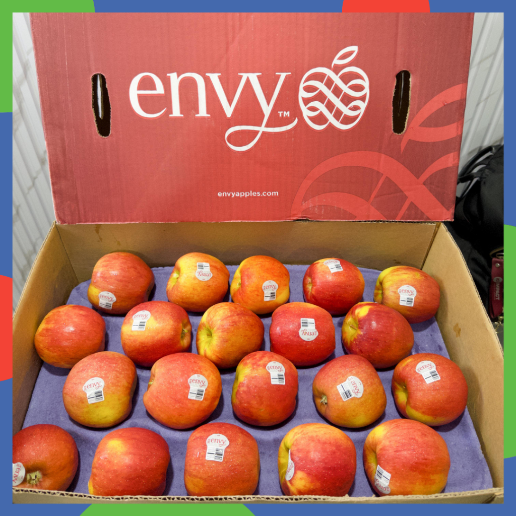 

Apel Envy NZ Dus +-18kg